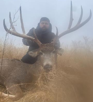 Colorado Buck Trails